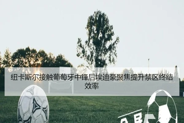 纽卡斯尔接触葡萄牙中锋后埃迪豪聚焦提升禁区终结效率